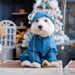 Mabawa Waterproof Dog Raincoat with Hood