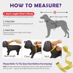 Reversible Waterproof Dog Raincoat with Leash Hole