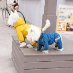 Mabawa Waterproof Dog Raincoat with Hood