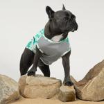 Fitwarm 2 Pack UV Protection Dog Shirts