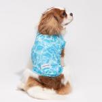 Fitwarm 2 Pack UV Protection Dog Shirts
