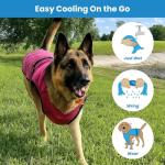 Dog Cooling Vest for Hot Days – Lightweight & UV Protection