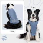 Cooling Dog Shirt with UV Protection and Quick Dry