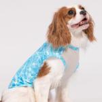Fitwarm 2 Pack UV Protection Dog Shirts