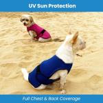 Dog Cooling Vest for Hot Days – Lightweight & UV Protection