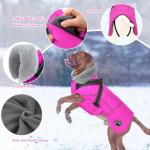 Reflective Waterproof Dog Coat with Harness