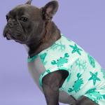 Fitwarm 2 Pack UV Protection Dog Shirts