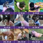 2-Pack Cool Dog Shirts for Summer Fun