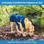 Dog Cooling Vest for Hot Days – Lightweight & UV Protection