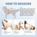 Cooling Dog Shirt with UV Protection and Quick Dry