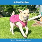 Dog Cooling Vest for Hot Days – Lightweight & UV Protection