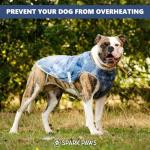 Spark Paws Dog Cooling Vest - Summer Heat Relief