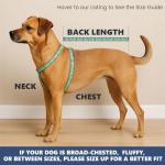 Spark Paws Dog Cooling Vest - Summer Heat Relief