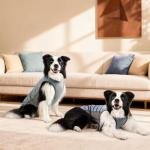 Cooling Dog Shirt with UV Protection and Quick Dry