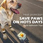 Anti-Slip Dog Socks and Booties for All Sizes