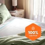 Disposable Super Absorbent Dog Training Pads (100-Pack)