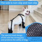 Waterproof Dog Boots for Small/Medium Dogs