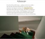 Anti-Slip Dog Socks and Booties for All Sizes