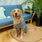 Kooltail Cozy Dog Hoodie with Pocket and Leash