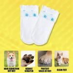 Disposable Dog Boots for Paw Protection – 20 Pack