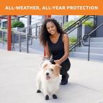 PawZ Waterproof Dog Boots for Small Paws