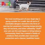 PawZ Waterproof Dog Boots for Small Paws