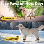 Anti-Slip Dog Socks and Booties for All Sizes