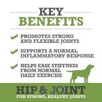 Hip & Joint Chews for Dog Mobility – 60 Count