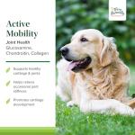 Active Mobility Joint Support for Dogs – 60 Chews