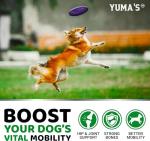 YUMA'S 2-Pack Dog Joint Supplement Chews