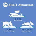 Extra Large Leak Proof Dog Pee Pads