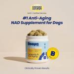 Boops Pets Senior Dog Longevity Soft Chews