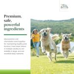 Active Mobility Joint Support for Dogs – 60 Chews