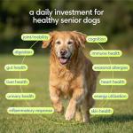 Native Pet Senior Dog Multivitamin Powder – 30 Scoops