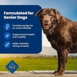 Blue Buffalo Senior Dry Dog Food, Chicken & Brown Rice