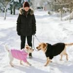 Cozy Black Hoodie for Medium Large Dogs