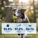 Boops Pets Senior Dog Longevity Soft Chews