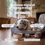 Boops Pets Senior Dog Longevity Soft Chews