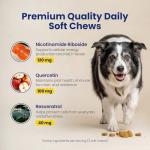 Boops Pets Senior Dog Longevity Soft Chews