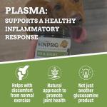 Hip & Joint Chews for Dog Mobility – 60 Count