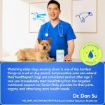 Native Pet Senior Dog Multivitamin Powder – 30 Scoops