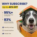 Boops Pets Senior Dog Longevity Soft Chews