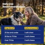 Boops Pets Senior Dog Longevity Soft Chews