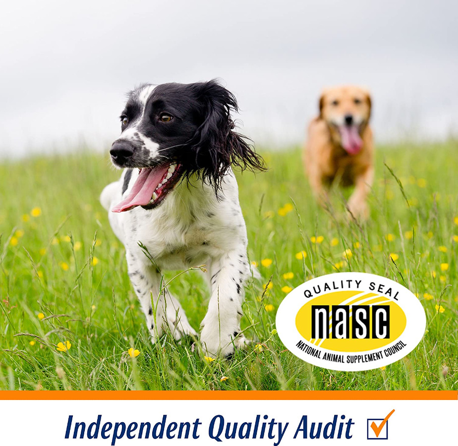 Healthy Glucosamine Chewables for Dog Joint Health