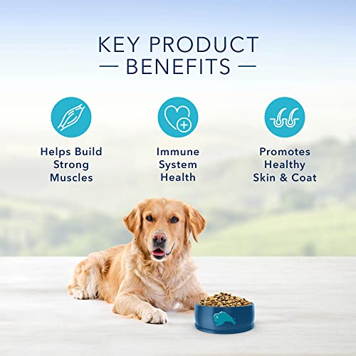 Blue Buffalo Chicken & Brown Rice Dog Food - 5lb