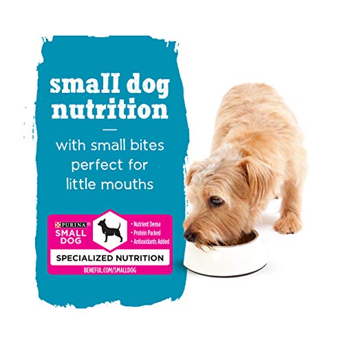 Small Breed Wet Dog Food Variety Pack - 30 Cans
