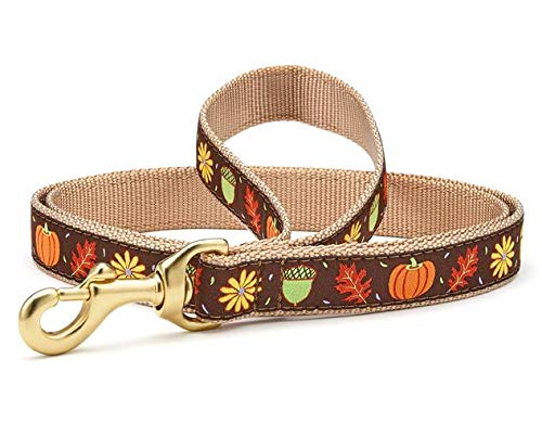 Harvest Time Dog Leash by Up Country