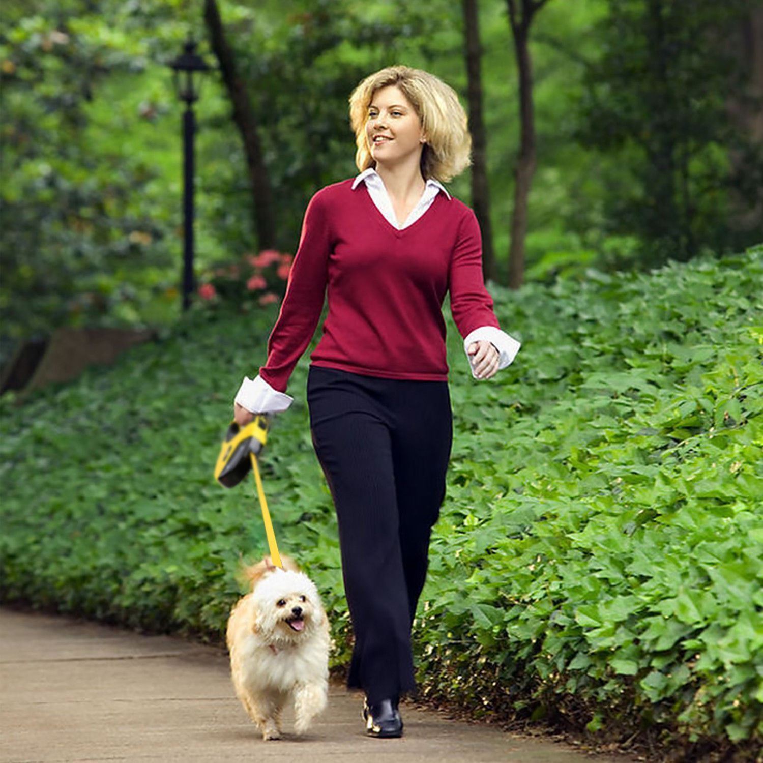 Retractable Dog Leash with Lock - 10 Ft