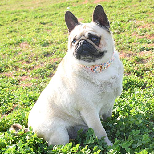 Adjustable Metal Buckle Dog Collar - Flower3