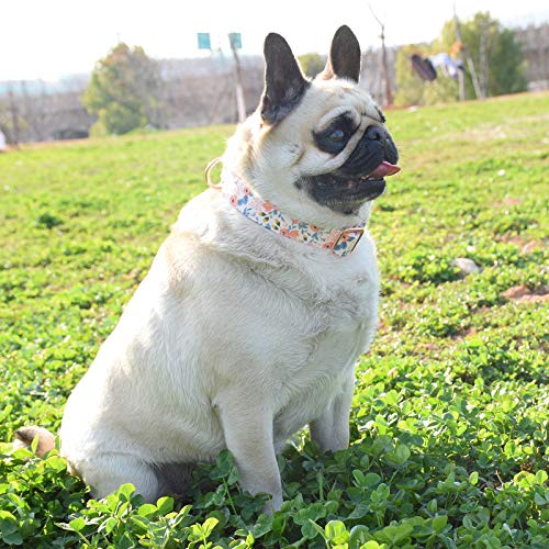Adjustable Metal Buckle Dog Collar - Flower3